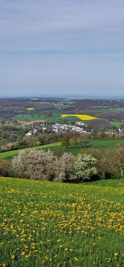 Appartamento Gemuetliche Auszeit In Der Eifel Mechernich Esterno foto